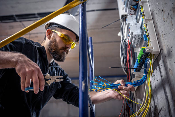 Best Electric Panel Repair  in Rlsbad, CA